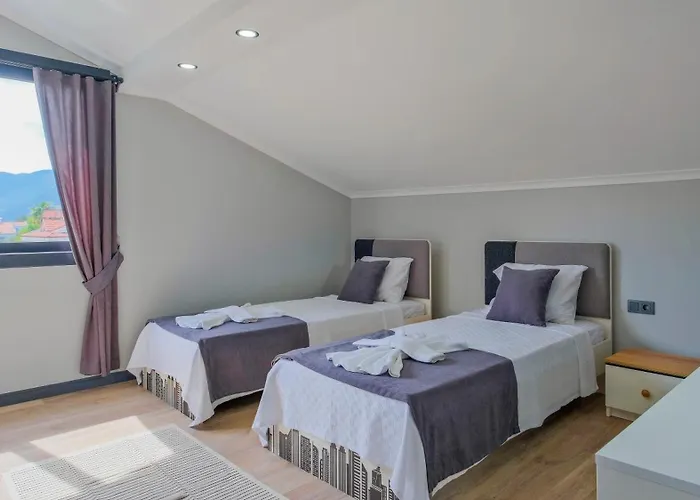 Soeguet * 费特希耶